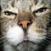 Mel Dawn's photo