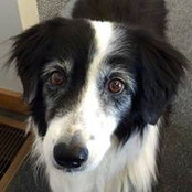 Sue Reninger's photo
