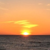 Alicia Virtanen's photo