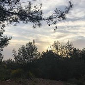 Foto von Hoda Hashemi