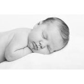 Amy Wisotsky's photo