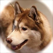 Beverly Norris's photo