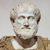 Crazy Aristotle's photo