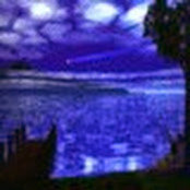 Andrea H's photo