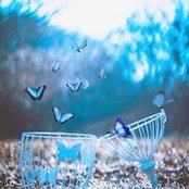 Ne Ve's photo