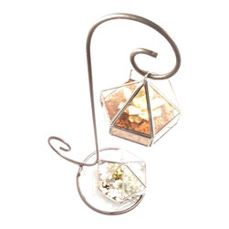 Geometric terrariums by Daring Flowers - Products