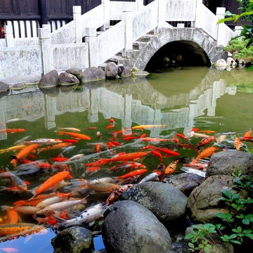 Custom Pond & Water Feature Installations