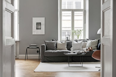 Large traditional living room in Gothenburg with grey walls and medium hardwood floors.