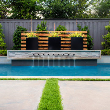 Lansdowne Modern Swimming Pool + Outdoor Living