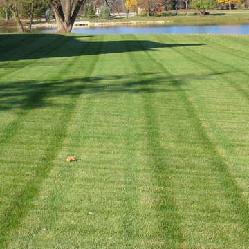 Lawn Care