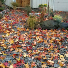 sidewalk