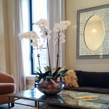 Manhattan Walker Tower Apartment