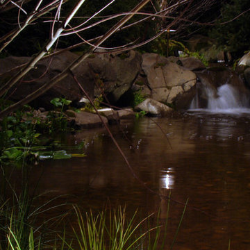 Mountain Stream
