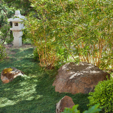Jardin Japonais - Caifornie
