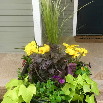 Annual Plantings