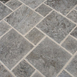 Elegant Silver Travertine Tile - Products