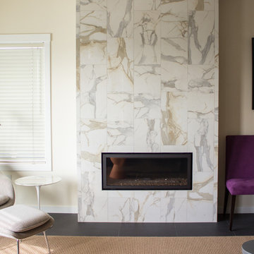 Contemporary fireplace