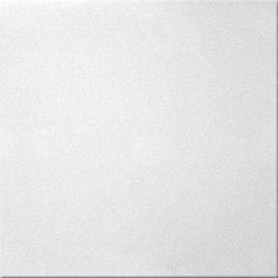 R 22 Plain Styrofoam Ceiling Tile 20x20 - Ceiling Tile