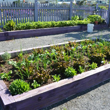 stivers garden ideas