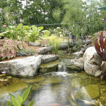 Ponds/ Watergardens