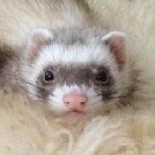 Cindy Rippel's photo