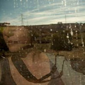 Cat Wilson's photo