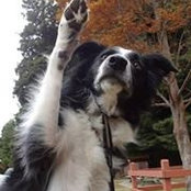 Stacey Mckinley's photo