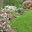 Hoaglandscape