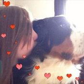 Sarah Cole's photo