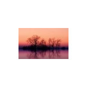 Holly DiFiglio's photo