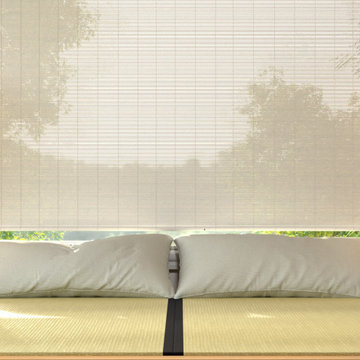 Contemporary Japan