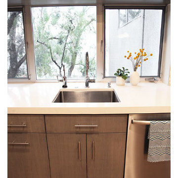 Contemporary Kitchen