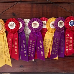 Rare Equestrian Ribbons - Fabric Trim