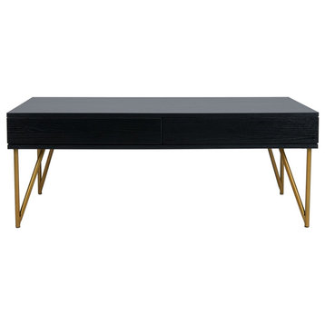 Nellie Two Drawer Coffee Table Black/ Gold
