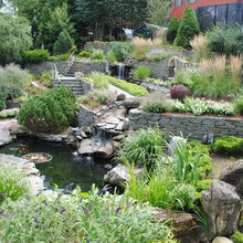 Tropical Oasis Creek Bed