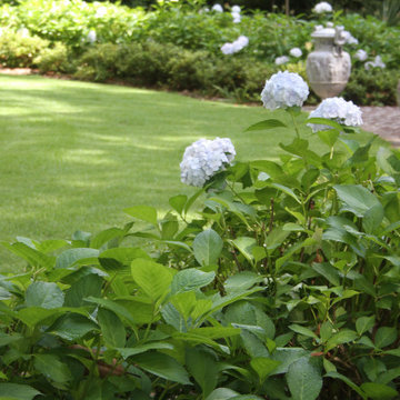Curb Appeal-The Crescent neighborhood