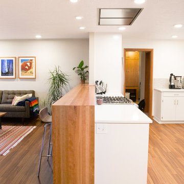 Mid Century Modern Kitchen
