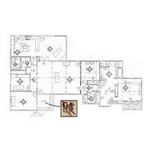 luisa_penepacker's ideas