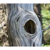 Kendra Chubbuck's photo