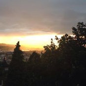 Kristen Fields's photo