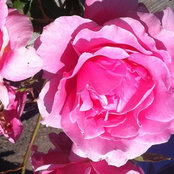 Janet Black's photo