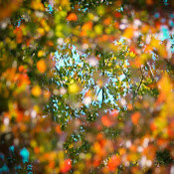 Roger Del Russo's photo