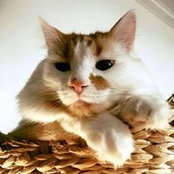 Flora Nells's photo