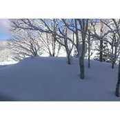 Michael Froelich's photo