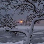 Foto von Mireille Raison
