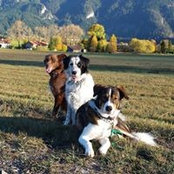 Foto von Beate Volz