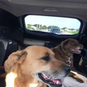 Connie Jeter's photo