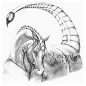 Avinash Radjkoemar's photo