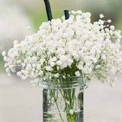 Shanti Ohm's photo