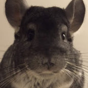 Paula Newmark's photo